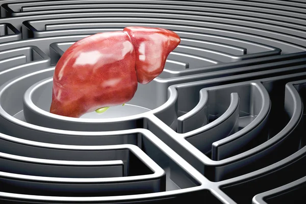 Human liver with gallbladder inside dark labyrinth, 3D rendering