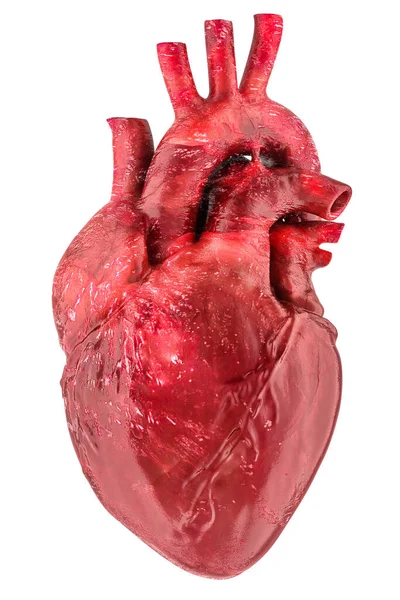 Coeur Humain Organe Avec Aorte Artères Rendu Isolé Sur Fond — Photo
