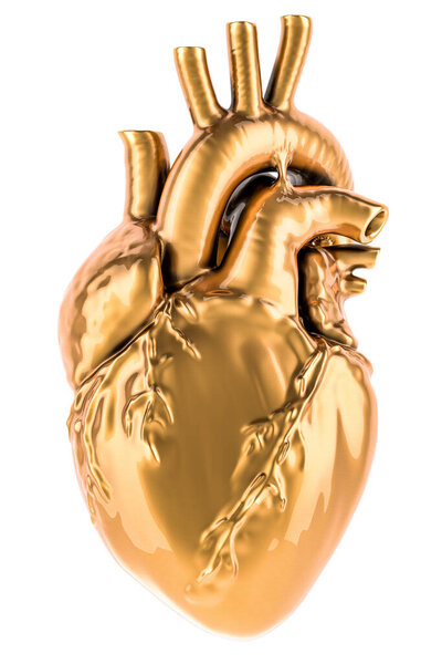 Golden Human Heart, 3D rendering isolated on white background