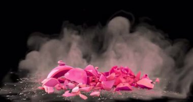 Domuz kumbarası yıkılıyor ve parçalara ayrılıyor. Şeffaf arkaplanda 3 boyutlu canlandırma izole edildi