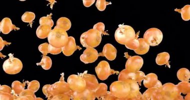 Gerçekçi dokusu olan soğanlar düşüyor ve ekranı dolduruyor. Şeffaf arkaplanda 3B canlandırma