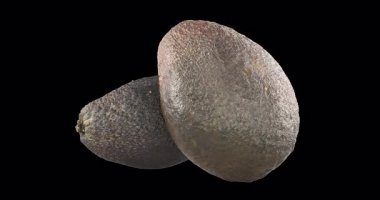 Avokado tam ve yarım dönüşlü animasyon, kusursuz bir şekilde çevrilebilir. Şeffaf arkaplanda 3B görüntüleme izole edildi