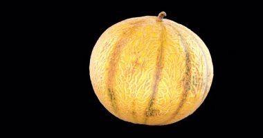 Kavun, tam ve yarım, döndürme animasyonu, kusursuz döngü. Şeffaf arkaplanda 3B görüntüleme izole edildi