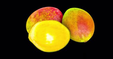 Mango meyveleri, bütünü ve dönüş animasyonunu kusursuz bir şekilde çevrilebilir. Şeffaf arkaplanda 3B görüntüleme izole edildi