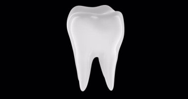 Azı diş, 3 boyutlu döner animasyon, kusursuz döngü. Şeffaf arkaplanda 3B görüntüleme izole edildi 