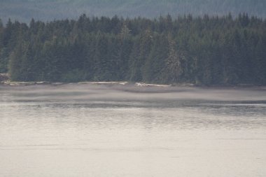  Alaska 'nın iç geçidi, Kraliçe Charlotte Sound' u, sabah ışığında, arka planda dağların güzel bir siluetiyle.