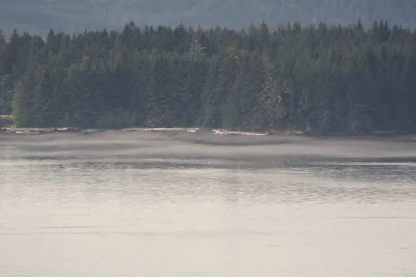  Alaska 'nın iç geçidi, Kraliçe Charlotte Sound' u, sabah ışığında, arka planda dağların güzel bir siluetiyle.