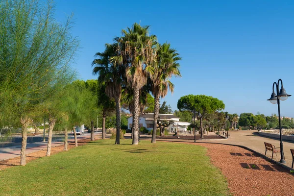 Palmeiras Parque Ampolla Espanha Costa Dorada Província Tarragona Catalunha — Fotografia de Stock