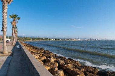 Palmiye ağaçları ve Akdeniz kıyıları L 'Ampolla İspanya Platja del Arenal plajı Katalonya