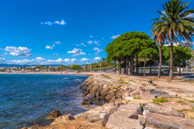 Gezinti güvertesi ve palmiye ağaçları Cambrilleri İspanya kıyıları Costa Dorada Katalonya Tarragona Eyaleti