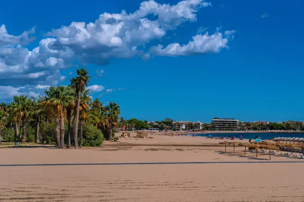 Palmen Cambrils Strand Automatische Übersetzung Playa Prat Fores Costa Dorada — Stockfoto