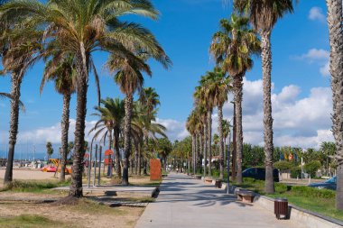 Salou, Costa Dorada Katalonya kıyısında palmiye ağaçlarıyla dolanıyor.