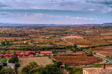 Laguardia İspanya 'nın renkli Rioja bölgesindeki sarmaşıklar ve şaraphane binaları manzaralı