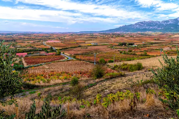 Laguardia İspanya kırsal manzaralı Rioja bölgesinde tarlalar ve dağlar