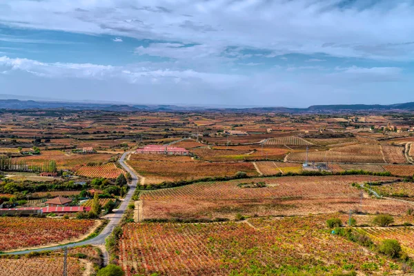 ラガルディアの丘の上の村からの眺めアラバRioja地域田舎のスペイン — ストック写真