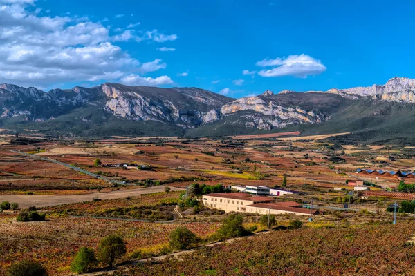 Rioja Şarap Bölgesi Laguardia 'dan İspanya Üzüm bağları ve Dağları