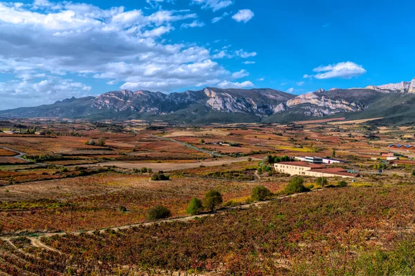 リオハワイン地域ラガルディアからの眺めスペインのブドウ畑と山 — ストック写真