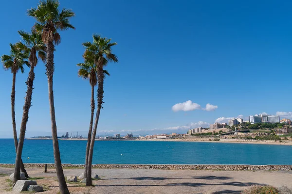 Tarragona Spanien Palmen Mit Blauem Mittelmeer — Stockfoto