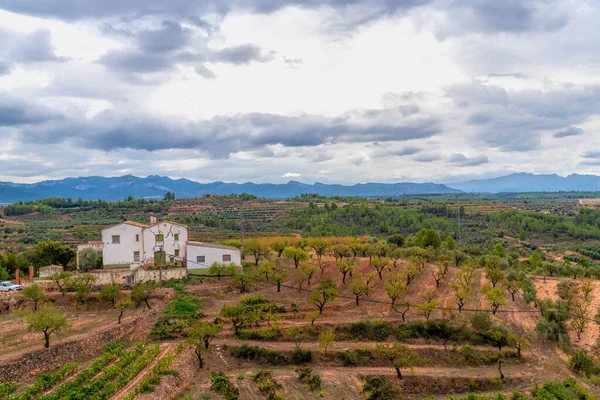 Masroig村からのブドウ畑の眺めスペインカタロニア タラゴナ州Prioratワイン地域 — ストック写真