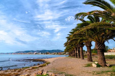 Benicarlo with palm trees coast view to Peniscola Spain Castellon province Costa del Azahar clipart