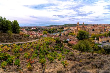 Elciego Spain view of vineyard and town in Alava Basque Country
