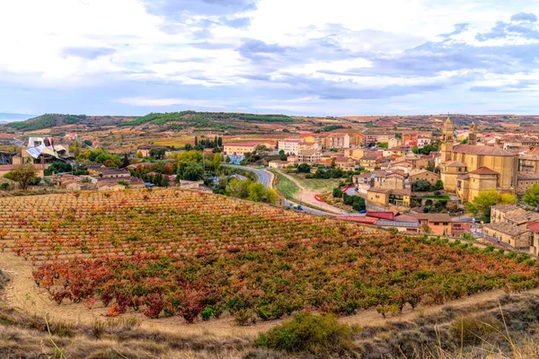 Basque Country Vineyard Elciego Spain Town View Alava Region — Foto de Stock