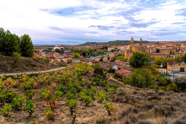 Elciego Spain View Vineyard Town Alava Basque Country lizenzfreie Stockfotos