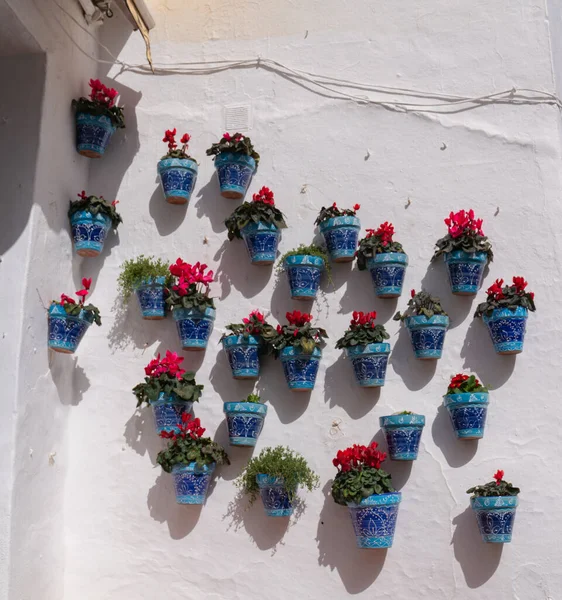 在西班牙 色彩斑斓的西班牙花盆在白墙上挂着红花 — 图库照片