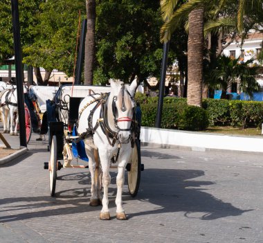 Mijas Pueblo, İspanya 'nın tarihi beyaz köyünde 22 Şubat 2023 Çarşamba günü turistleri bekleyen midilli ve araba taksisi.