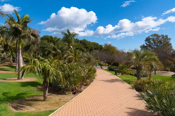 Vägen Med Träd Parque Paloma Benalmadena Park Andalusien Spanien Costa — Stockfoto