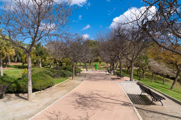 Weg Mit Bäumen Parque Paloma Benalmadena Park Andalusien Automatische Übersetzung — Stockfoto