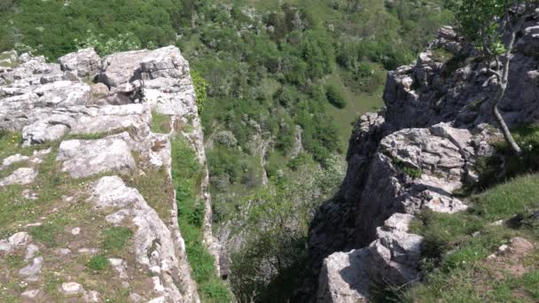 Deux Chèvres Bord Une Falaise Cheddar Gorge Somerset Angleterre Royaume — Video
