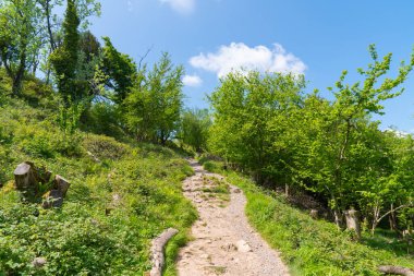 İngiltere turizm merkezi Somerset England 'ın tepesinde Çedar Vadisi yürüyüş yolu