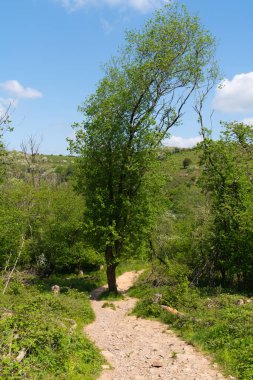 Cheddar Gorge Somerset 'e yürüme yolu İngiltere İngiltere' nin İngiltere kırsal manzarasından rezervuara