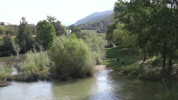 Rivier Ebro Frias Spanje Buurt Van Beroemde Middeleeuwse Brug — Stockvideo