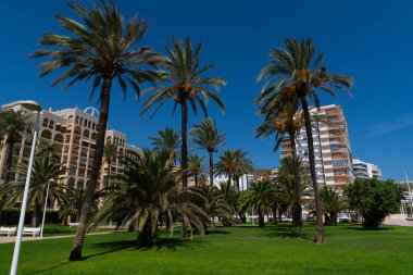 Cullera sahilindeki bahçeli yeşil alan İspanya Akdeniz 'deki güzel turistik bölge