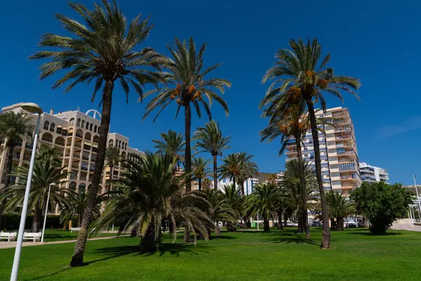 Cullera sahilindeki bahçeli yeşil alan İspanya Akdeniz 'deki güzel turistik bölge