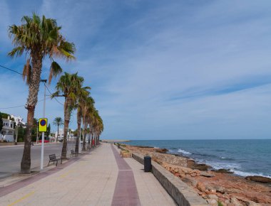 Alcossebre İspanya şehri ile Platja de les Fonts plajı arasında palmiye ağaçları ile geziniyor.