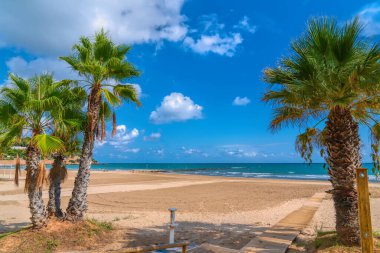 Palmiye ağaçları Benicassim plajı İspanya Playa Voramar Costa del Azahar İspanyol turizm beldesi