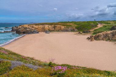 Praia Grande Plajı Porto Covo Portekiz Atlantik Sahili Renkli pembe çiçeklerle