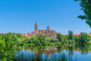 Salamanca İspanya manzaralı yeşil ağaçlar ve Kastilya nehri ve Leon tarihi şehrinden sazlıklar