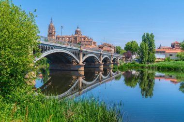 Salamanca İspanya ile Katedral ve Enrique Esteban köprüsü Castilla y Leon bölgesi