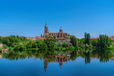 Tormes Nehri üzerindeki Salamanca İspanya Katedrali Kastilya ve Leon tarihi şehri