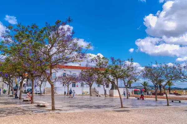 Eski kasaba meydanında mor jakaranda ağaçları ve insanlar Lagos, The Algarve, Portekiz 18 Mayıs 2024