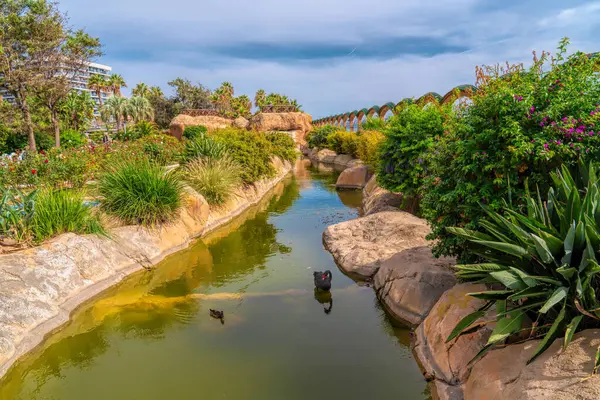 Su özelliği Marina d 'Or bahçesi Oropesa del Mar tatil köyü İspanya