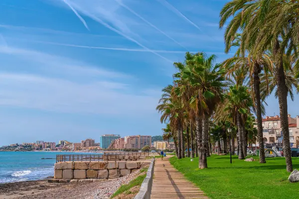 Marina D 'Or palmiye ağaçları ve plaj Oropesa del Mar, İspanya