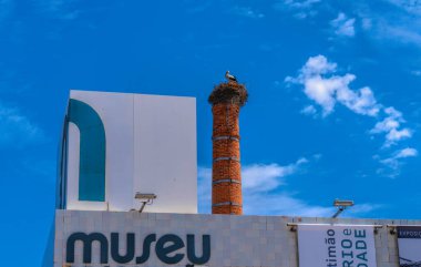 Müzenin çatısında leylek yuvası, Portekiz yasalarına göre korunan bir kuş, Portimao, Algarve, Portekiz 23 Mayıs Perşembe günü