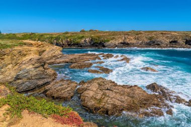 Atlantik Okyanusu kayalık kıyıları ve renkli bitkiler Porto Covo Sines Batı Alentejo Portekiz