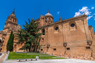 Salamanca Katedrali Kastilya ve Len İspanya 4 Haziran 2024 Salı