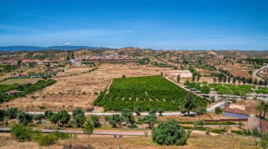 Kırsal alan ve evler Portekiz 'in güneyinde Silves Algarve
